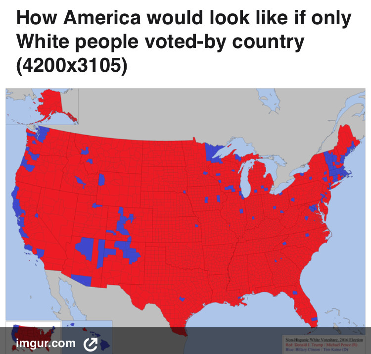 RT @ramzpaul: Demographics are destiny