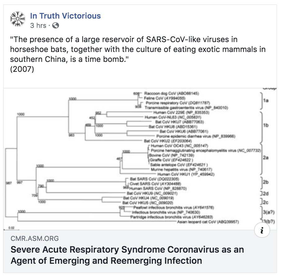 CHINESE IRRESPONSIBILITY AND CORRUPTION “The presence of a large reservoir of SA
