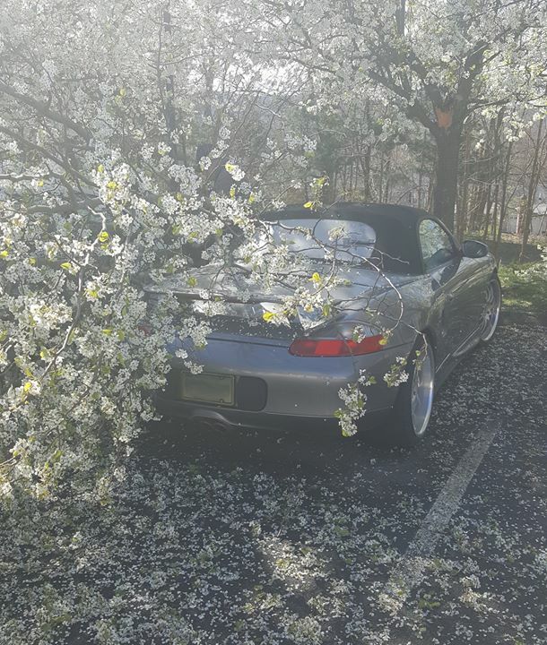 It missed. Not a scratch. lol