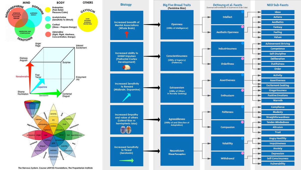 I use biological differences in brain structure, chemistry, the Big5/6 + Sex + I
