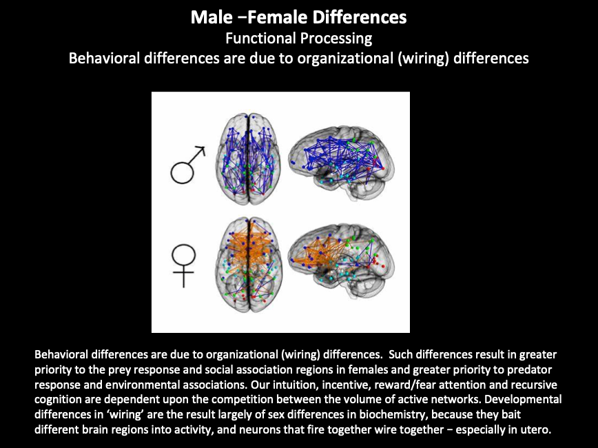 Origins of Sex Differences in Perception, Intuition, Emotion, Cognition, and Dem