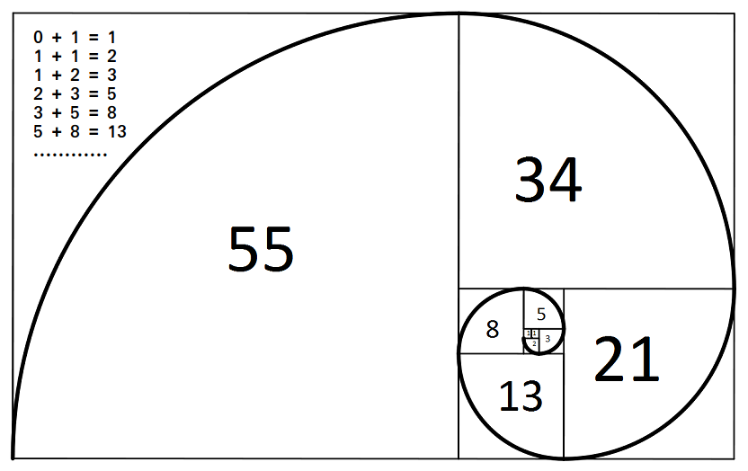 Again, Evolutionary Computation. One simple algorithm. Combine it with shapes an