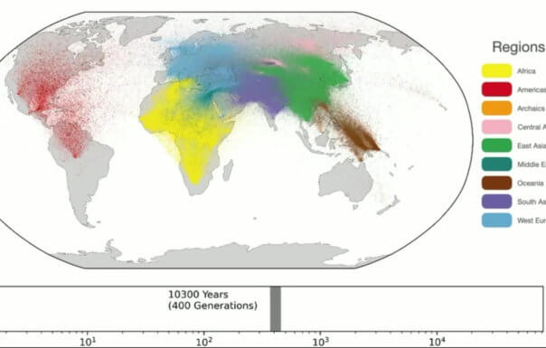 One interesting aspect of this map is that it correctly shows the south asian (i