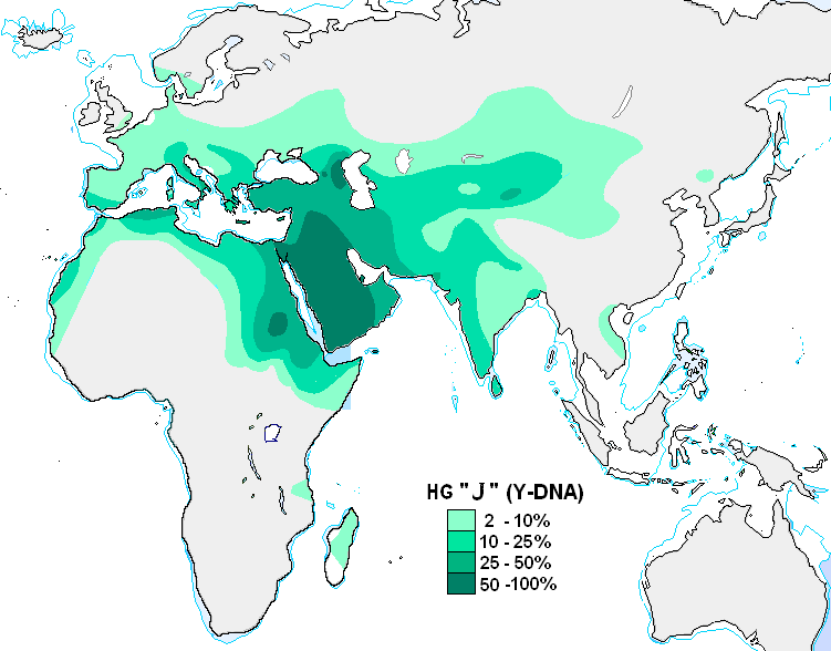 Ergo, subsaharans are ‘african’. North africans are south eurasian admixture wit