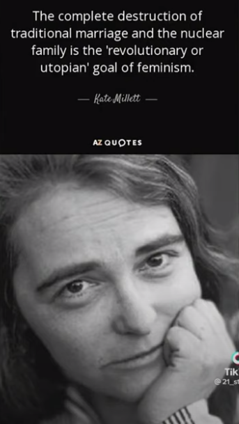 THE PURPOSE OF FEMINISM like marxism, neo-marxism, postmodernism, and woke, is t