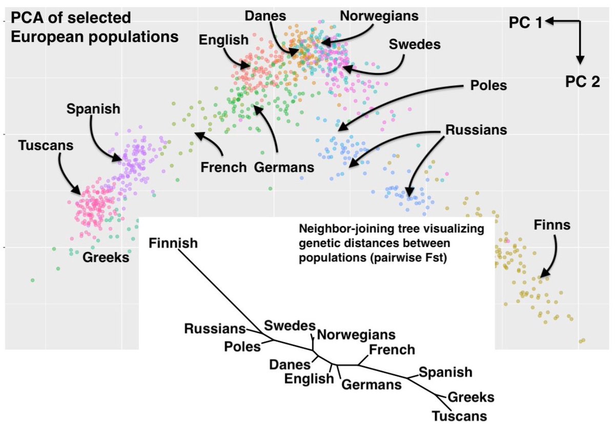 EUROPEAN GENETIC RELATIONS Should be Obvious. Though I wish baltics were here to