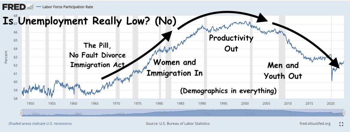 (Taunt) MALE *AND* WHITE REPLACEMENT? ;) (conspiracy, ignorance, stupidity, or a