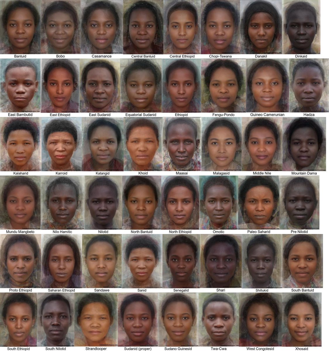 The list and the computer generated average phenotypes exist. Not sure if I’ve s