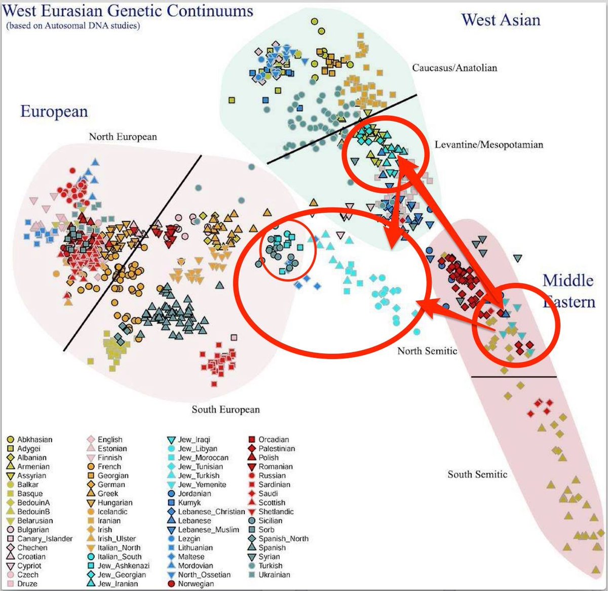Jews aren’t white (European). And Europeans aren’t semites (How the heck tochris