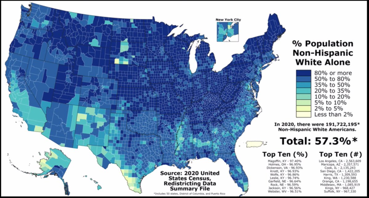Almost Minority Status. National Divorce will happen. The only question is wheth