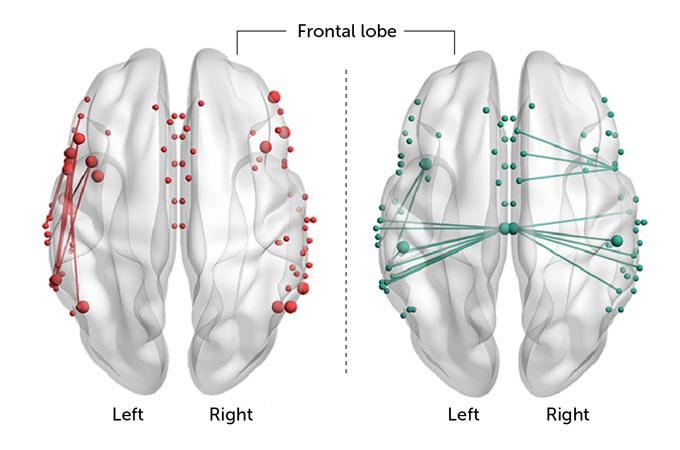 Do you really want me to state the obvious out loud and in public after years of