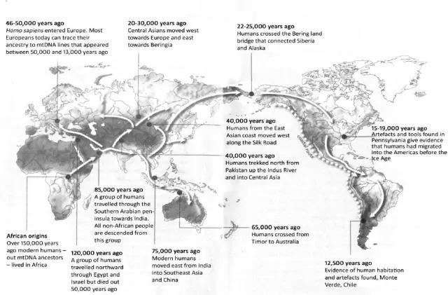 I prefer this diagram of human expansion and speciation events – because it’s th