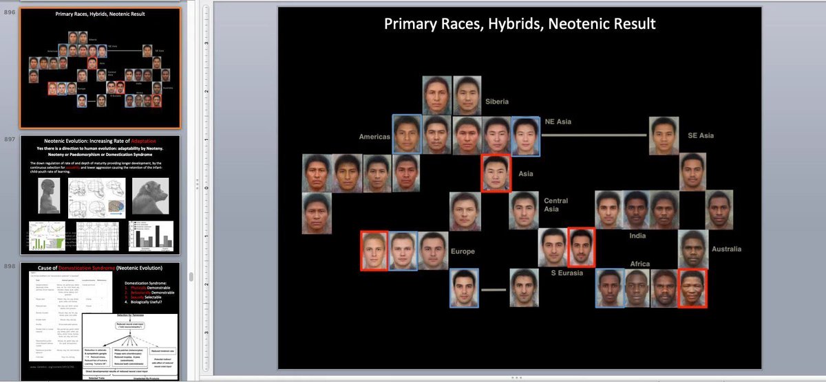 And this is from my course, the section on human evolution. ;)