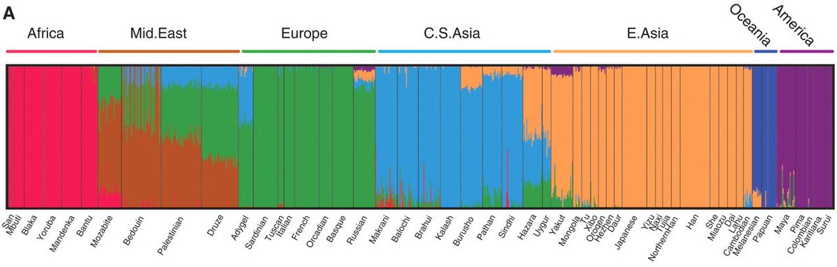 While there are four primary races: African, South Eurasian, East Asian, and Eur