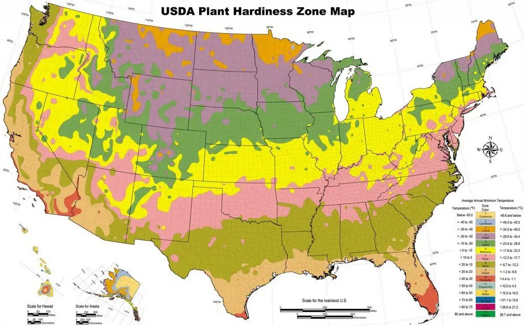 US AGRARIAN CAPACITY MAP Why were there small farms in the north and large plant