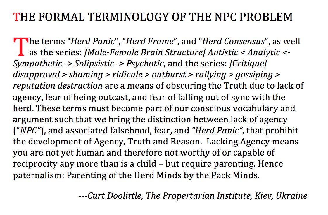THE FORMAL TERMINOLOGY OF THE NPC PROBLEM