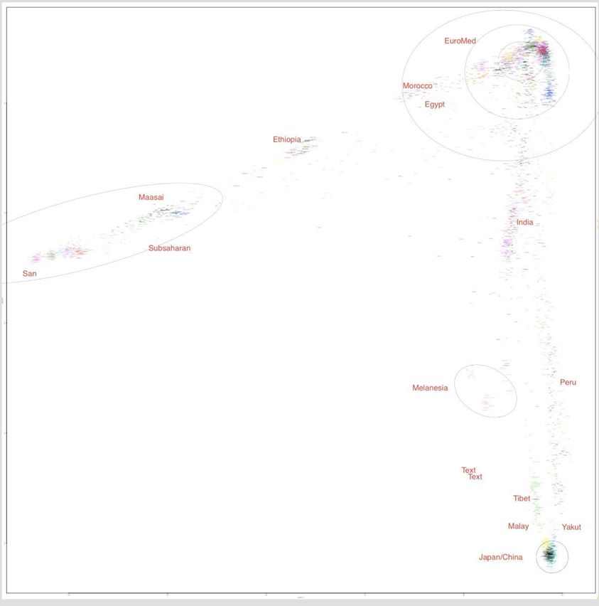 photos_and_videos/TimelinePhotos_dJ9jhts2Ng/26951850_183173148946250_99798289511