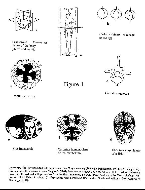 photos_and_videos/PersonalityandEmotions_10156479504747264/36737317_101564795052