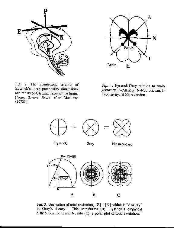 photos_and_videos/PersonalityandEmotions_10156479504747264/36776649_101564795052