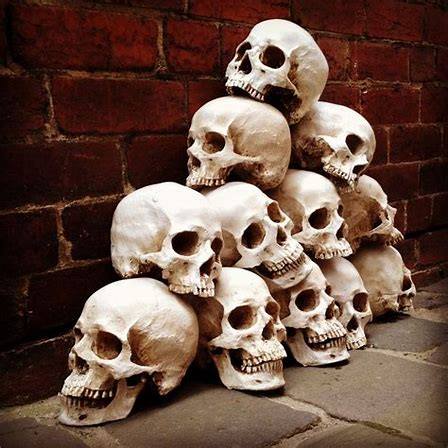 photos_and_videos/your_posts/37188214_10156495272982264_8153095894980362240_n_10