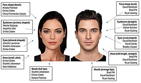 A Short Video Course on Human Self Domestication