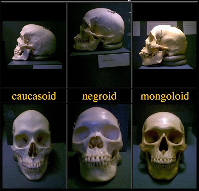 photos_and_videos/TimelinePhotos_SxeO6JU-xg/49245233_10156894944282264_381103289