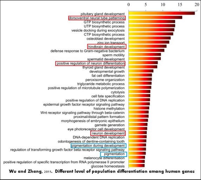 photos_and_videos/TimelinePhotos_SxeO6JU-xg/51547952_10156969101032264_217856179