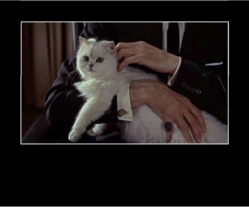 photos_and_videos/TimelinePhotos_SxeO6JU-xg/51943341_10156986310247264_506409758