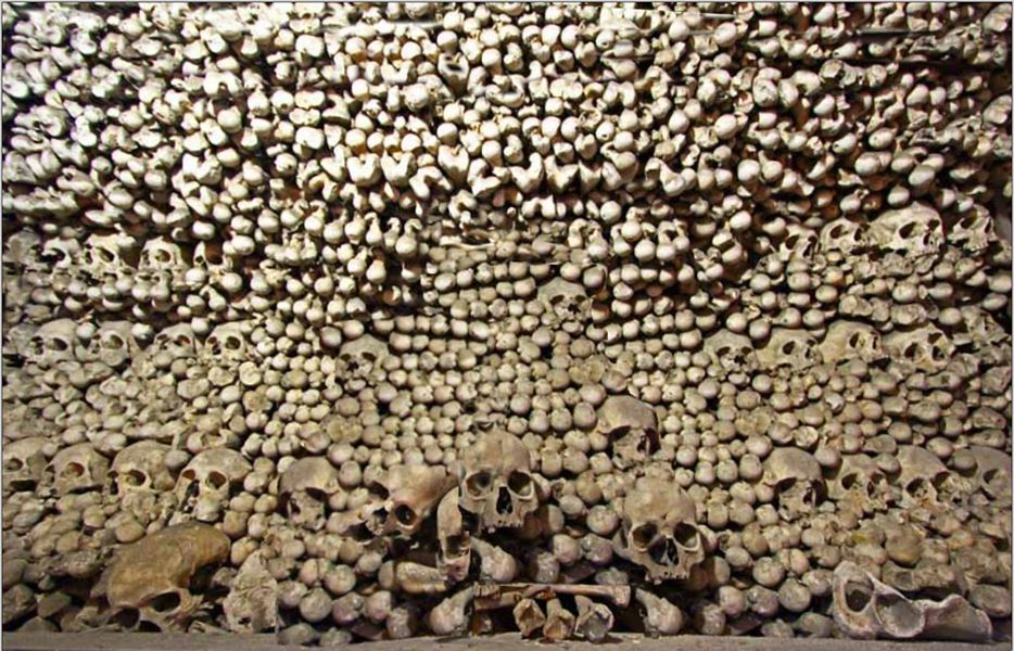 photos_and_videos/TimelinePhotos_SxeO6JU-xg/52609102_10157011326637264_946032998