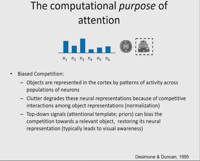 photos_and_videos/TimelinePhotos_dJ9jhts2Ng/68698944_449025379027691_38691307203