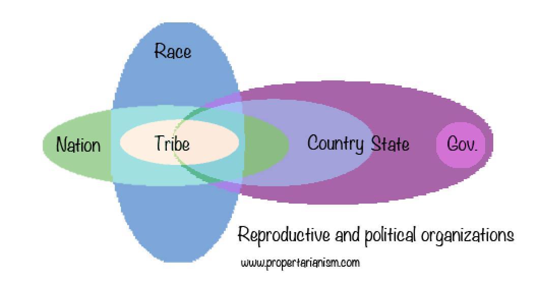 photos_and_videos/PropertarianChartsandGraphs_vChUMhhDGw/70782362_11175282022288