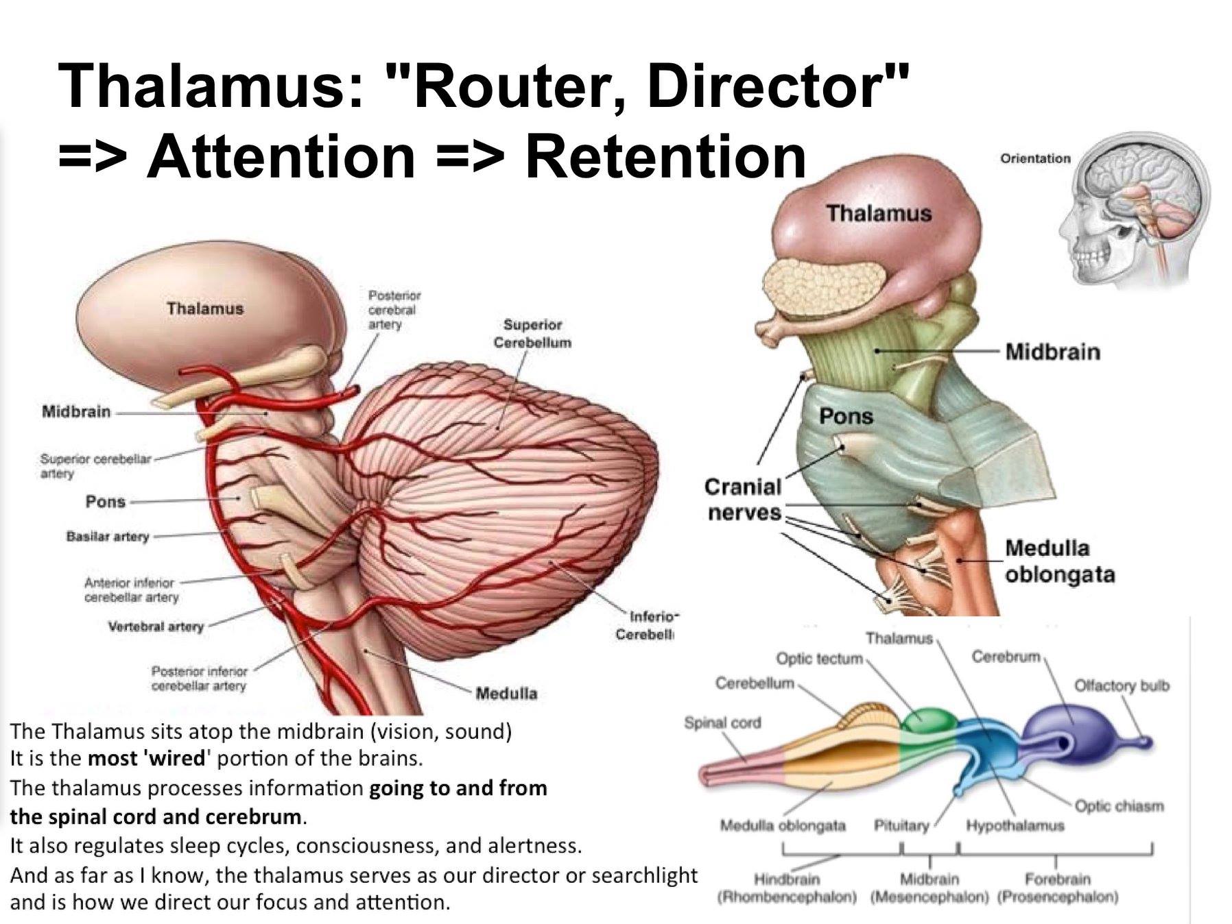 photos_and_videos/TimelinePhotos_dJ9jhts2Ng/77402513_521632061767022_38941219925