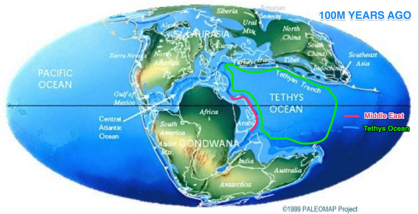 81808273_550546745542220_2884401676947554304_o