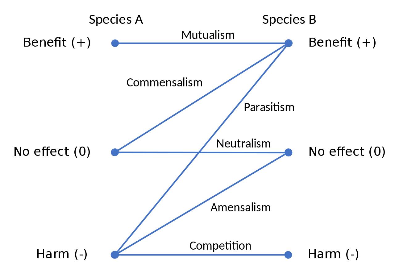 photos_and_videos/TimelinePhotos_kg5QueHwVw/84618660_206573627407465_54729035663