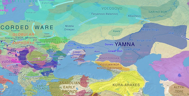 photos_and_videos/TimelinePhotos_dJ9jhts2Ng/84701564_571106196819608_35506573362