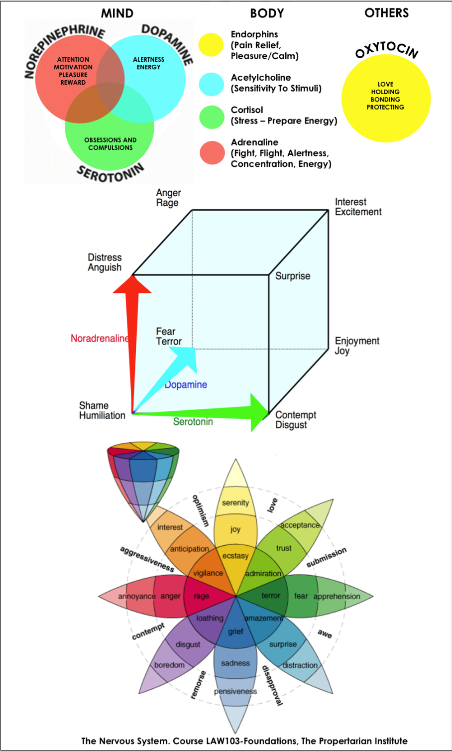 Screen Shot 2019-11-23 at 12.39.15 PM.png